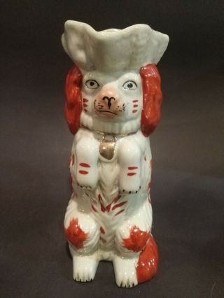 Antique Staffordshire Rp.  Dog Porcelain Spaniel Pitcher