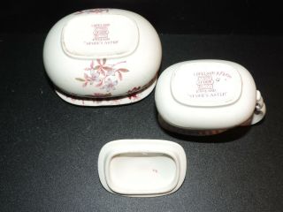 COPELAND SPODE ASTER RED GADROON LIDDED SUGAR AND CREAMER 3