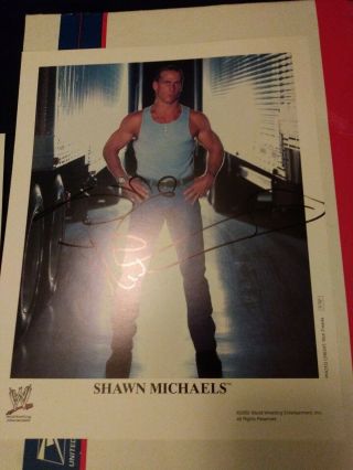 Shawn Michaels Signed Autograph 10x8 Photo Picture.  With Proof Of Authenticity.