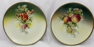 2 Three Crown China Germany Peach Cherries Floral Plates Hand Painted 8 " Vintage