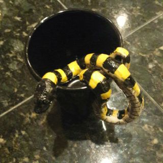 Handmade Snake.  Coffee/tea Mug (folk Art) Nicely Done