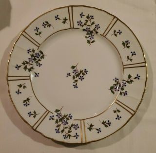 Bernardaud Limoges France Bleuets Porcelain Dinner Plate 10.  25 "