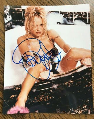 Pamela Anderson Lee,  Signed 8 X 10 Color Photo