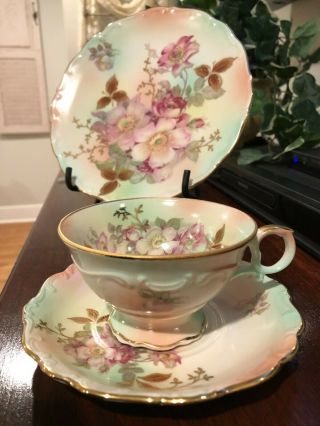 Vintage Schumann Arzberg / Bavaria Germany Porcelain 3 Piece Tea Set - Wild Rose