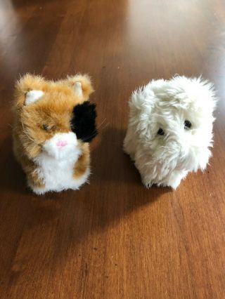 American Girl Ginger Cat And Coconut Dog