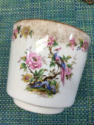 Vtg Wedgwood Enoch Tunstall Cachepot Planter Pot Peacock And Peony 5” T