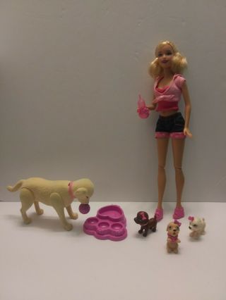 Mattel Barbie Luv Me 3 Taffy And Puppies,  Magnetic Puppies