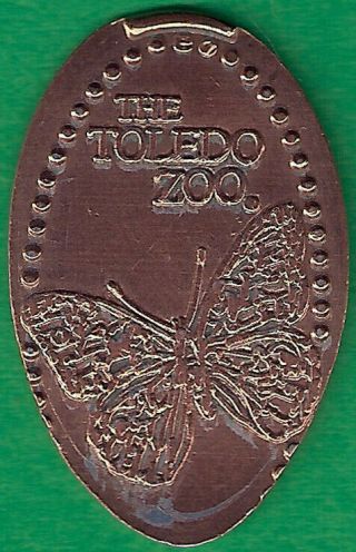 Ohio - The Toledo Zoo - Butterfly - Retired