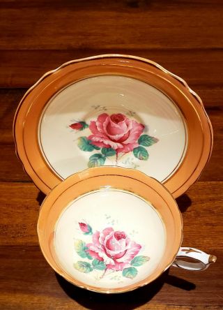 Paragon China Cup And Saucer Cabbage Rose Double Warrant Peach Cup Gold Gilt