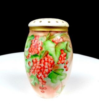 Zs And Co.  Bavaria Red Currants On Pastels Gold Trim 4 1/2 " Sugar Shaker 1880 -