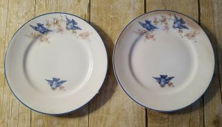 Two Homer Laughlin Empress Bluebirds Bread And Butter Plates