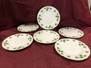Colclough Bone China Made In England Green Ivy Leaves Six 8 1/4 " Diameter Plates