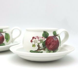 Portmeirion Pomona Cup And Saucer Hoary Apple Fruit Set Of 2