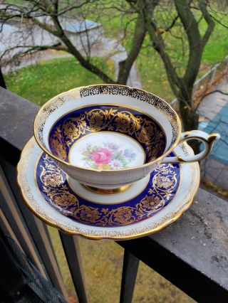 Gorgeous Paragon Teacup & Saucer Massive Gold Navy Blue Cabbage Rose Garden