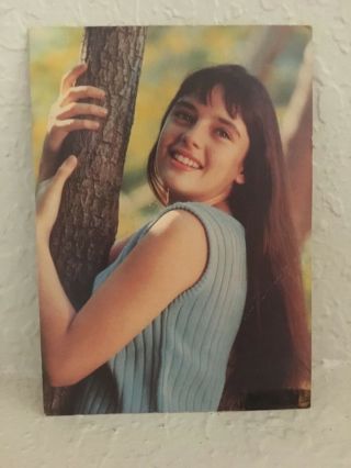 Angela Cartwright (actor In Lost In Space) Signed Autograph & Note On Photo Card