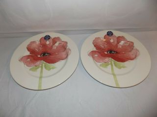 Royal Stafford Red Poppy Dinner Plate 11 Inches Flower Watercolor (set Of 2)