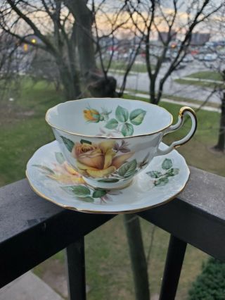 Spectacular Adderley Tea Cup And Saucer Massive Cabbage Rose Teacup And Saucer