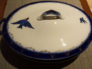 Vintage Flow Blue Style Bluebird China Covered Casserole Dish Serving Bowl Bird