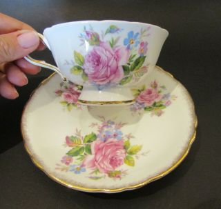 Stunning Vintage Double Warrant Paragon Teacup And Saucer