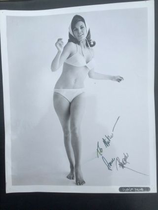 Young Raquel Welch - 8 " X 10 " Hand Signed Autographed Photo 1960 