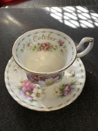 Royal Albert Flower Of The Month Series October Cup & Saucer Set England
