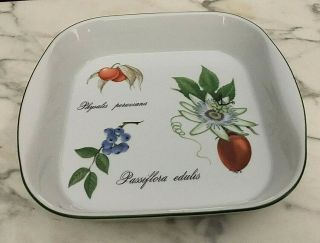 Apilco Elysian Garden Porcelain 10.  5” Square Baking Dish Made In France