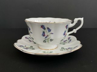 Shelley Teacup And Saucer Blue Flowers Gold Trim