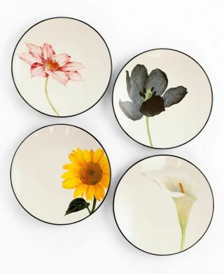Noritake Stoneware Colorwave Graphite Floral Set Of 8 Plates