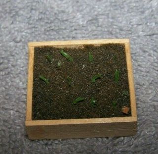 1:12 Dollhouse Miniature Planter Box W/ Growing Plants