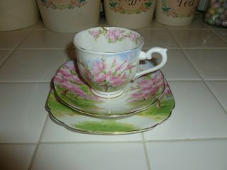 Vintage 3 Piece Set Royal Albert “blossom Time” China Tea Cup & Saucer & Dessert