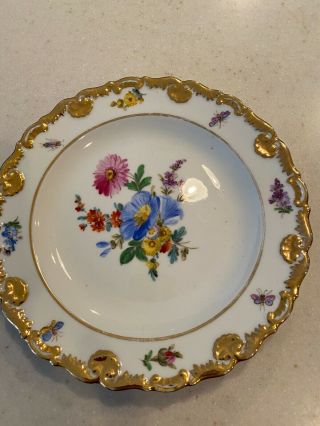Gorgeous Antique Meissen Hand Painted Flowers & Insects 7 Inch Plate