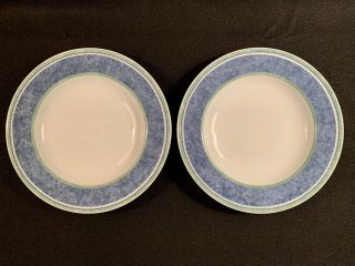 Two (2) Villeroy & Boch Switch 3 Costa Large Soup Bowls 9” Euc