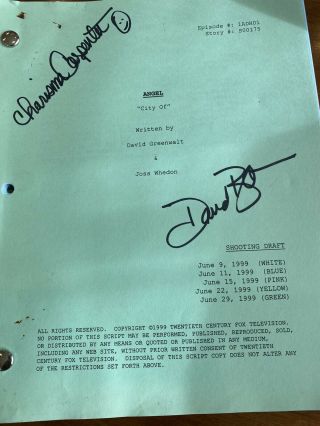 Buffy/city Of Angels / Signed Script David Boreanaz And Charisma Carpenter
