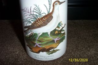 Portmeirion Birds of Britain CANISTER / STORAGE JAR Wooden lid GREY PHALAROPE 2
