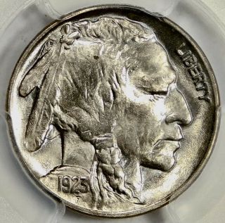 Pcgs Ms66 1923 Buffalo Nickel