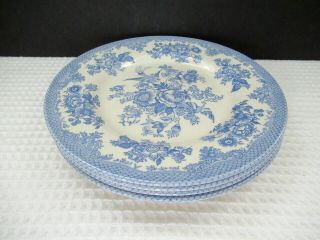 Royal Stafford Asiatic Pheasant Powder Blue 4 (8 - 1/2 ") Salad Plates