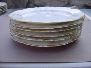 6 Vintage Theodore Haviland Limoges 8 3/4 " Plates With Pink Flowers