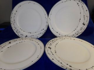 Ciroa Oiseau Black Trim Birds 11 1/4 " Dinner Plates Set Of 4 Fine Bone China