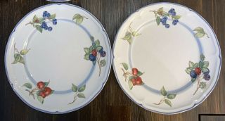 2 Villeroy Boch Germany Fine China Cottage 10.  5” Dinner Plates Berries Cherries