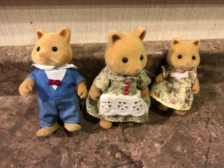 Sylvanian Families Slydale Fox Family Of 3 With Golden Tails