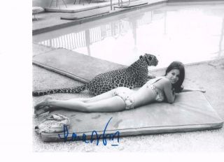 Lana Wood Hand Signed 10 X 8 B&w Glossy Photo With Leopard Lifetime Guarantee