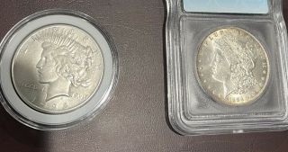 1928 Peace Dollar Xf/au And 1884 - O Morgan Dollar Ms - 63 Icg Rare