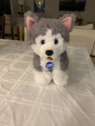 Build A Bear Promise Pets Husky Dog W/collar & Tag Blue Eyes Stuffed Plush 14
