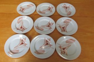 Set Of 9 Fitz And Floyd Coquille Shell Salad Plates