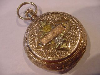 Spectacular 1889 Multicolor 14k Solid Gold Waltham Hunter Work Of Art Gorgeous
