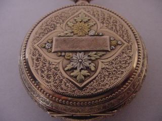 SPECTACULAR 1889 MULTICOLOR 14k SOLID GOLD WALTHAM HUNTER WORK OF ART GORGEOUS 2