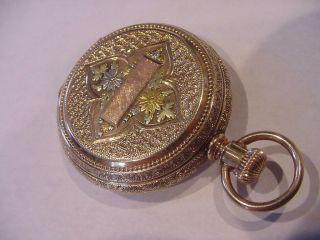 SPECTACULAR 1889 MULTICOLOR 14k SOLID GOLD WALTHAM HUNTER WORK OF ART GORGEOUS 4