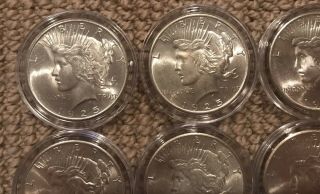 1925 - 1926 Silver Peace Dollar Set Of 10 Bu