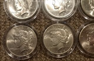 1925 - 1926 Silver Peace Dollar Set Of 10 BU 2