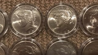 1925 - 1926 Silver Peace Dollar Set Of 10 BU 3